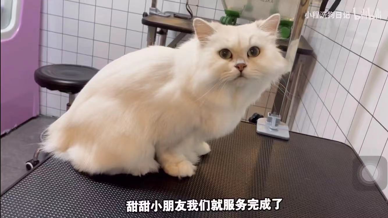 微信圖片_20211118092613 微信圖片_20211118092613